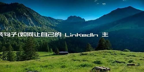 重装句子(如何让自己的 LinkedIn 主页更加专业？)